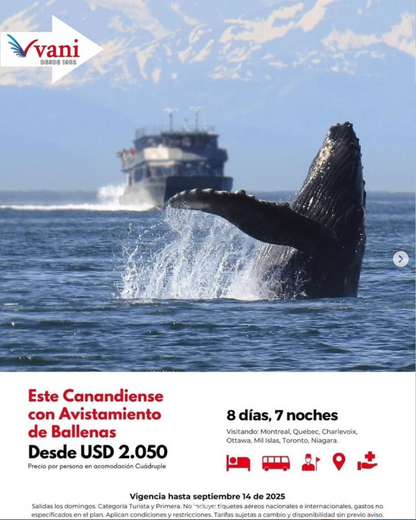 NORTE AMERICA ✈️