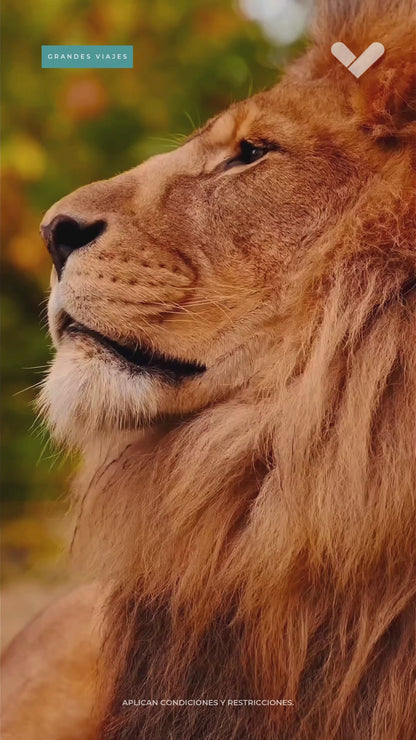AFRICA